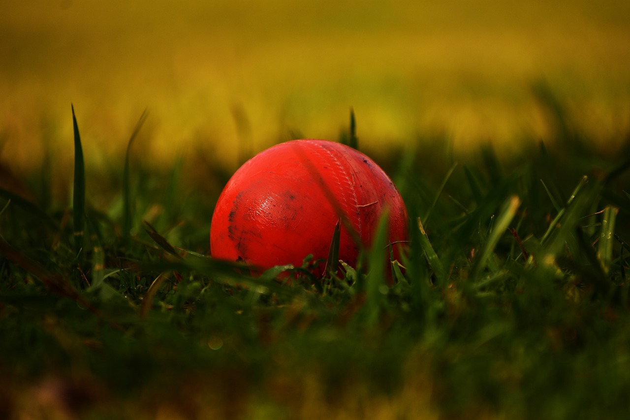 ball, cricket, sports-4393070.jpg